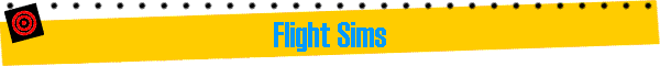 Flight Sims