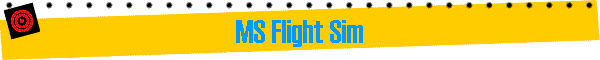 MS Flight Sim
