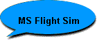 MS Flight Sim